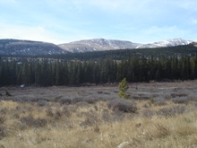 View of a Mountain Meadow